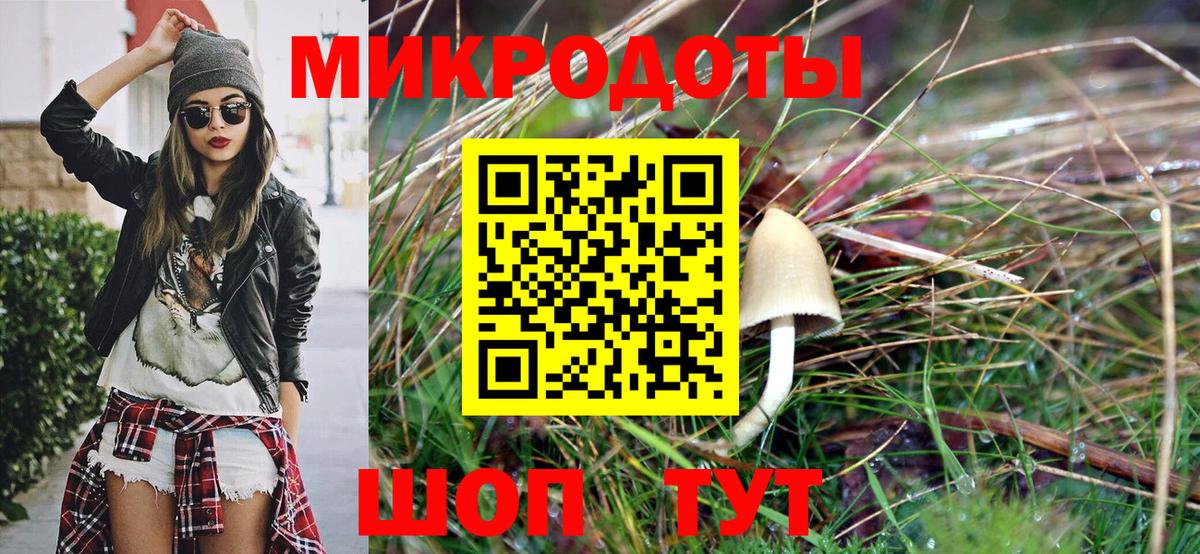 Псилоцибиновые грибы мухоморы Бутурлиновка